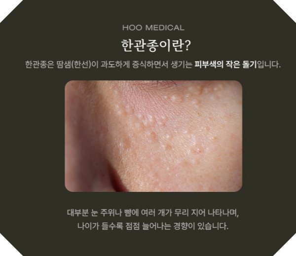 전주 한관종 설명사진 