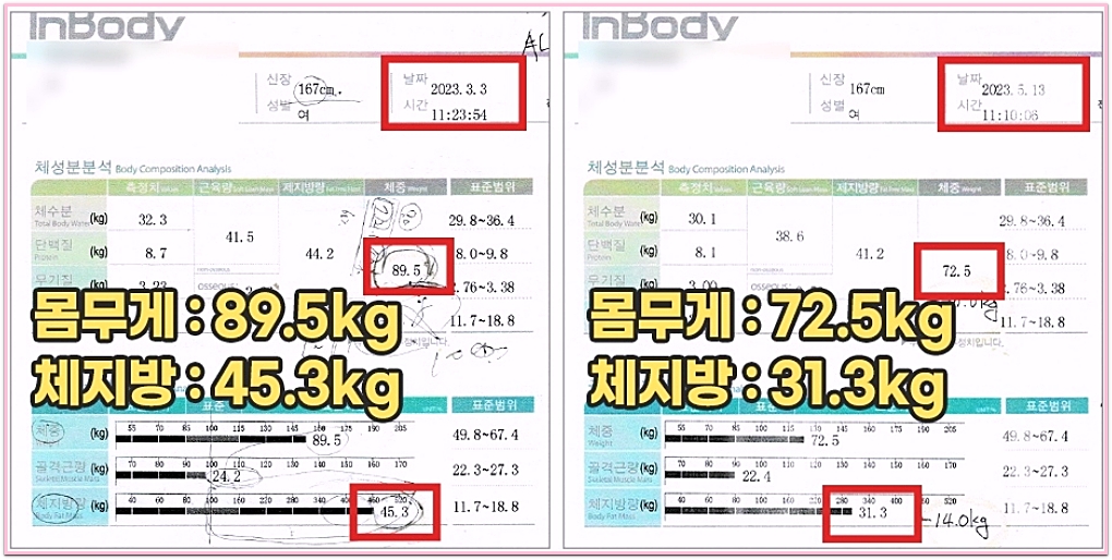 전주다이어트한약 프로그램 전후 인바디 결과지, 167cm 여성의 체중과 체지방량 변화